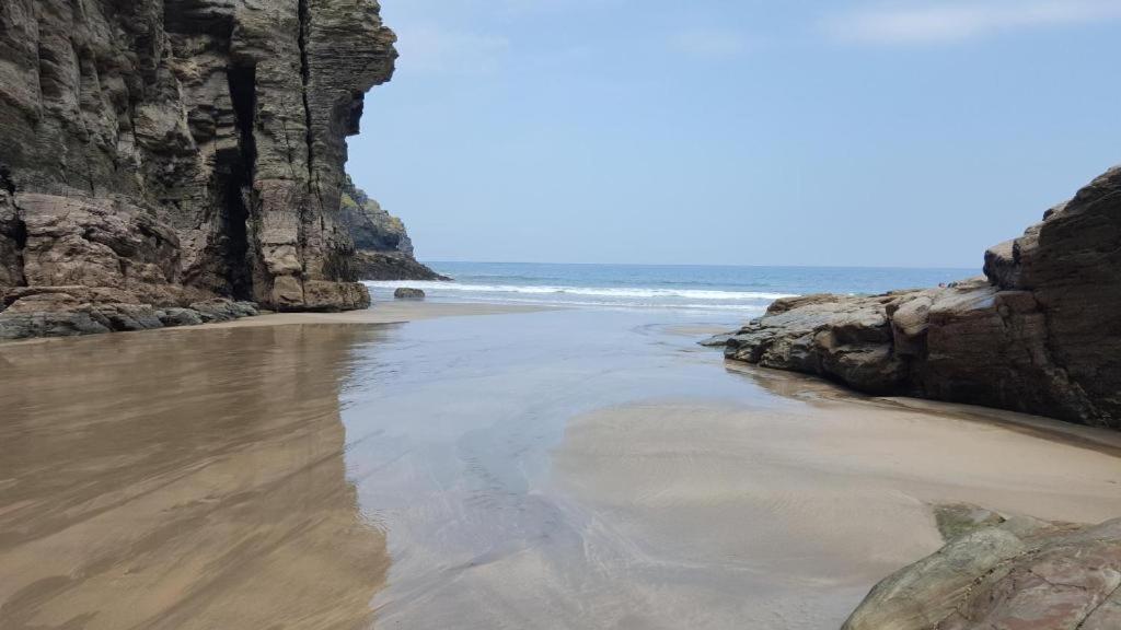 Myrtle * Boscastle